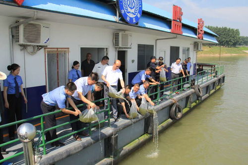 湖北省檢察機關 十年禁捕護航長江生態(tài)，固體廢物治理助力大保護